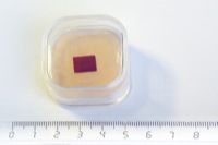 IGP0110.jpg