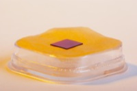 IGP0115.jpg