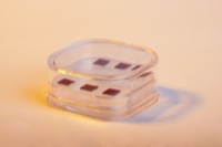 IGP0135.jpg